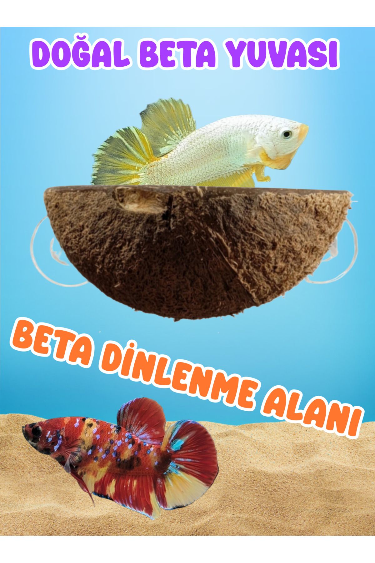 MDİZMİR Beta Dinlenme Alanı Ayalarnabilir Dinleme Alanı Beta , Kaplumbaga , Lepistes vb Türer için Kullanım