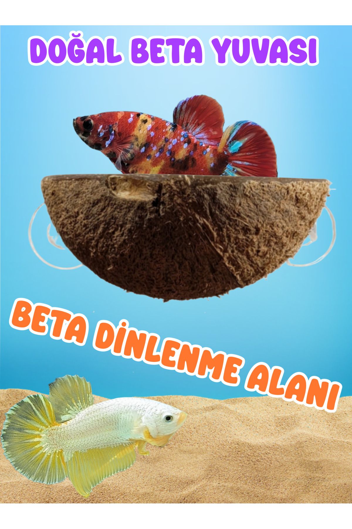 MDİZMİR Beta Dinlenme Alanı Ayalarnabilir Dinleme Alanı Beta , Kaplumbaga , Lepistes vb Türer için Kullanım