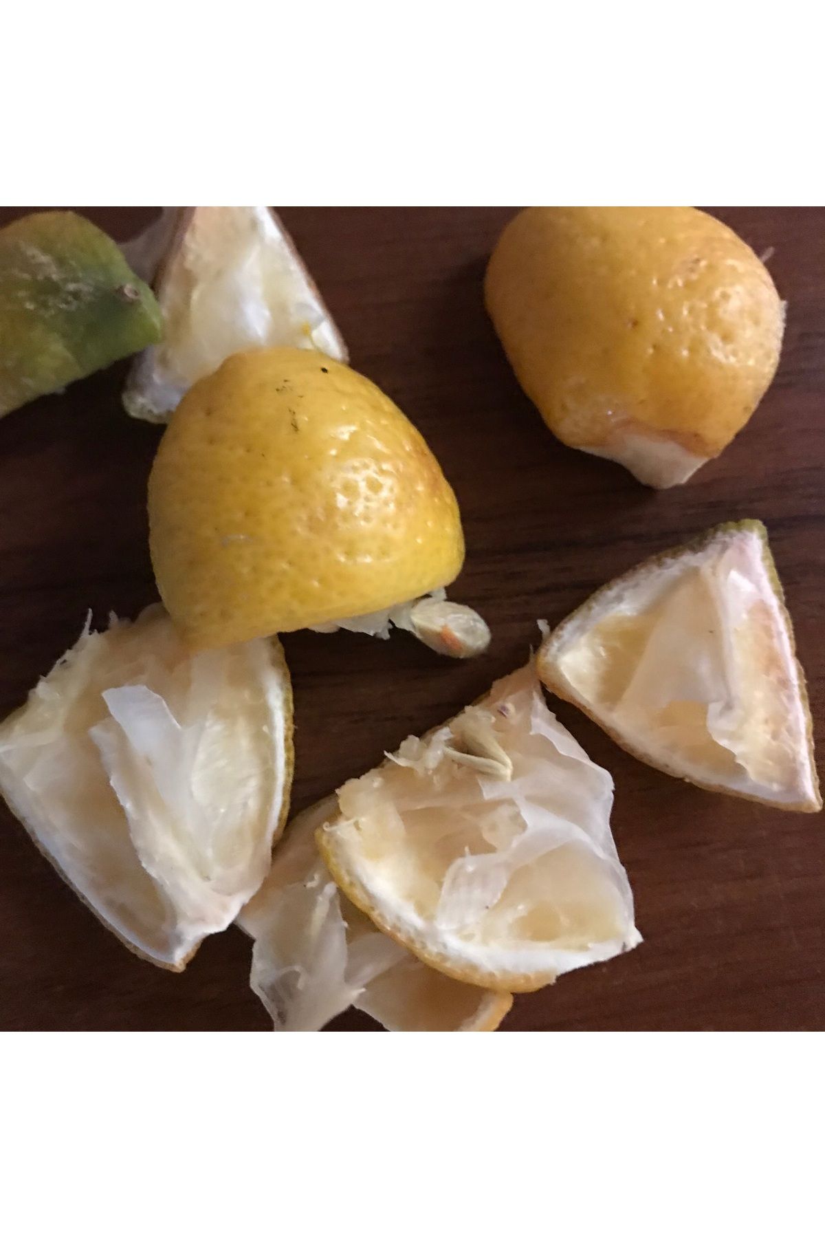 Aydın Naturel Bahçe Limon kabuğu kurusu posalı 100 gram