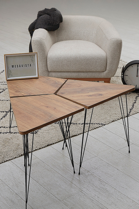 MESAVİSTA Orta Sehpa Ve 3'lü Zigon Sehpa Seti, Üçgen Tasarımlı, Işlevsel, Por...