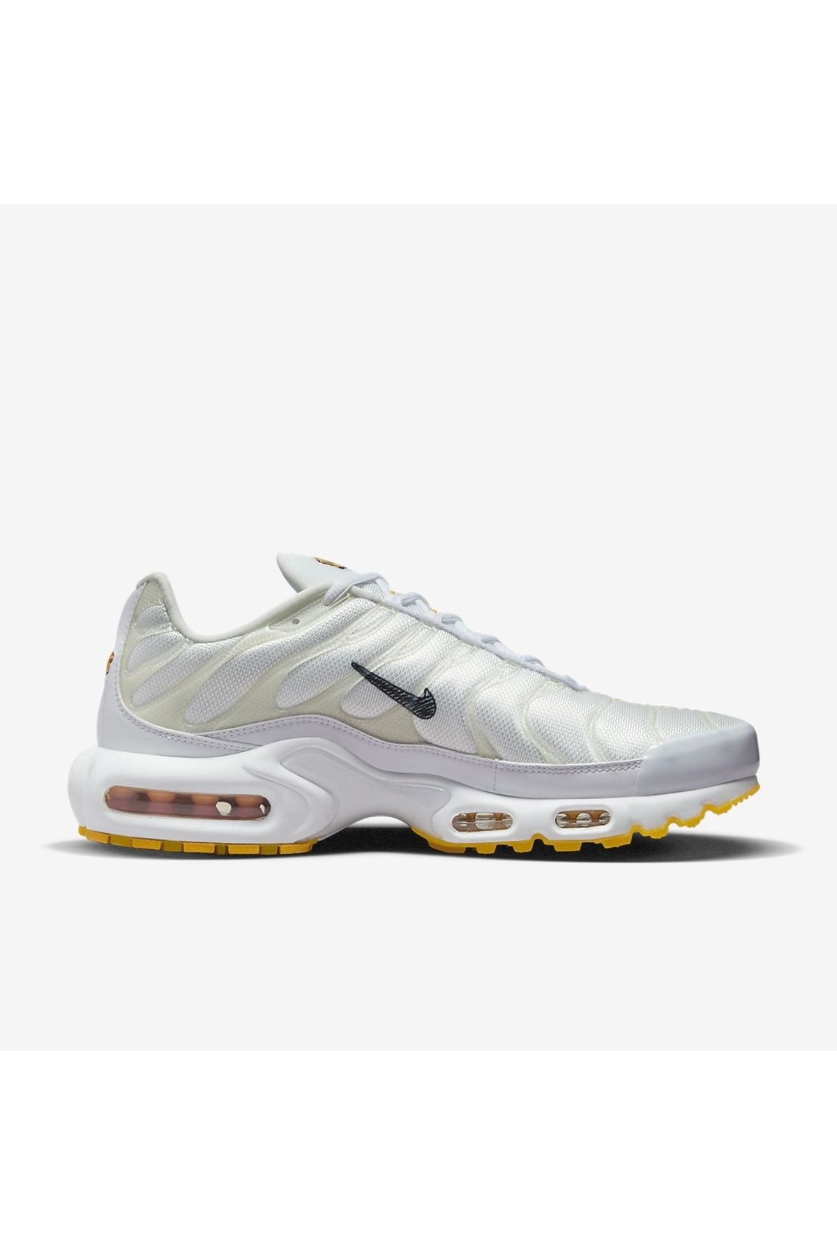 Nike Air Max Plus Tn Erkek Spor Ayakkabı