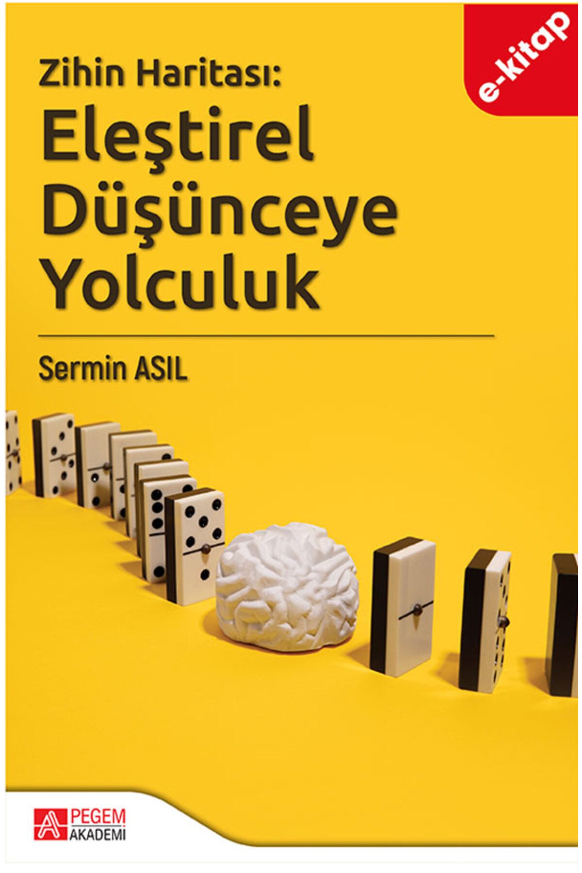 Pegem Akademi Zihin Haritası: Eleştirel Düşünceye Yolculuk (e-kitap)