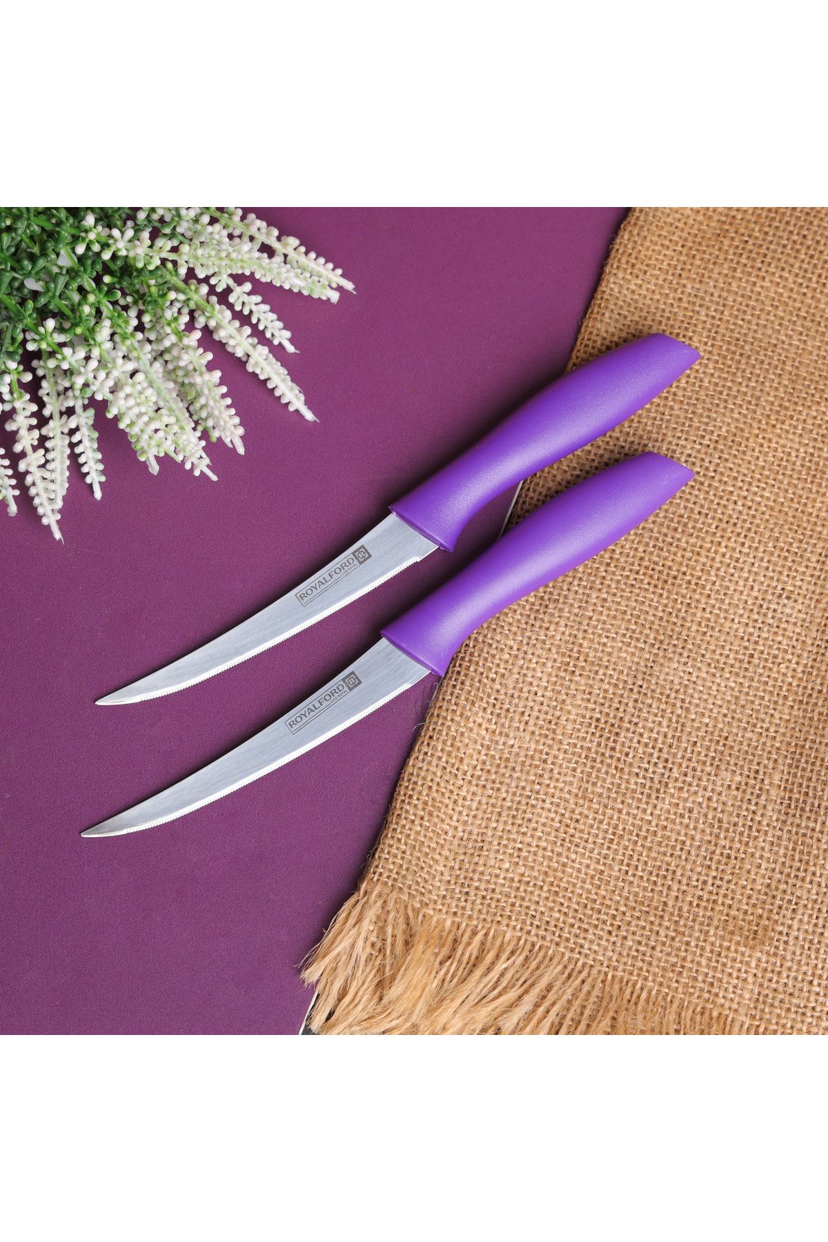 ROYALFORD-RF7848 2Pcs Fruit Knife - Stainless Steel Fruit Knife Set Razor Sharp Blades 6
