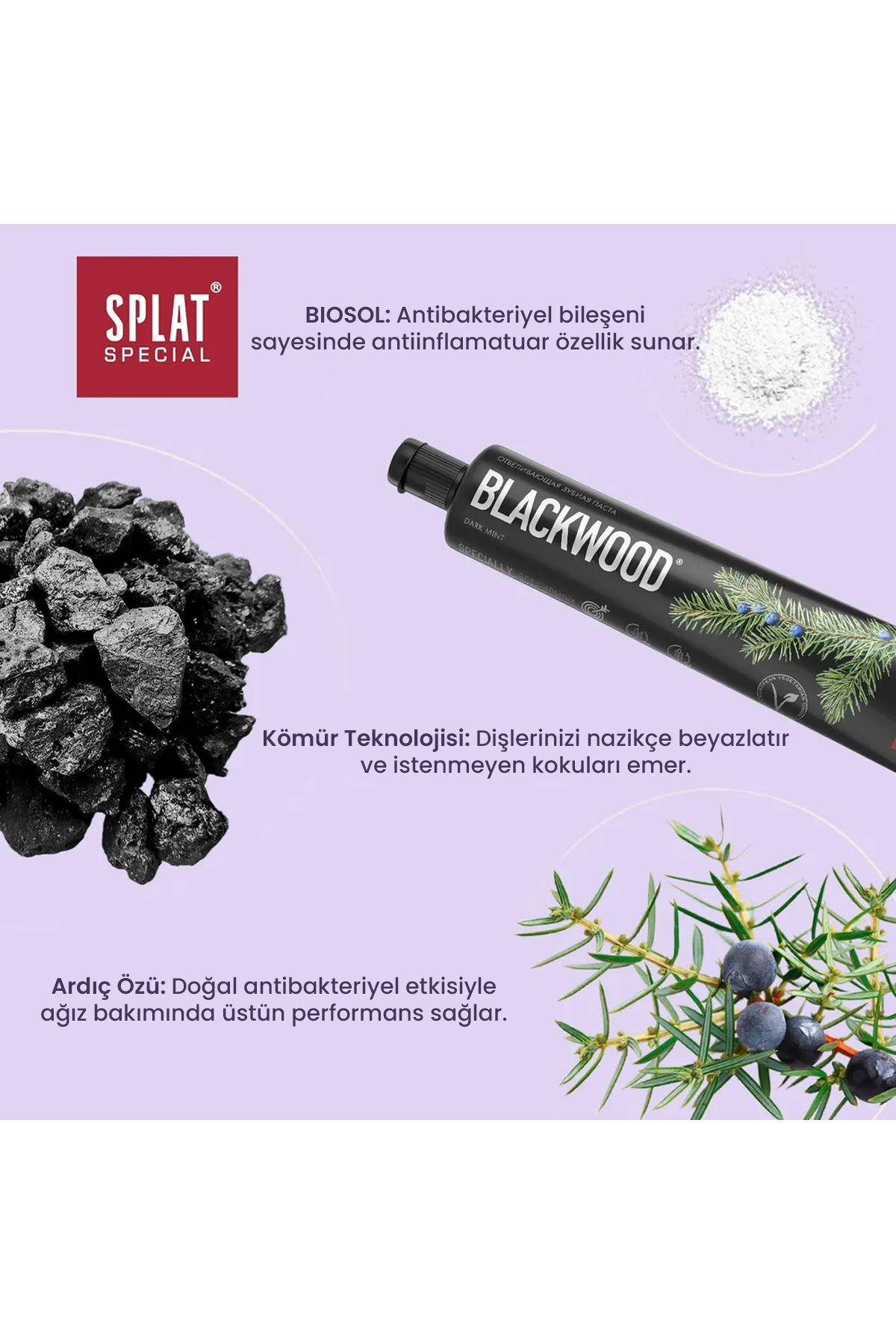 خمیر دندان سفید کننده مشکی Splat Blackwood 75 میلی لیتر