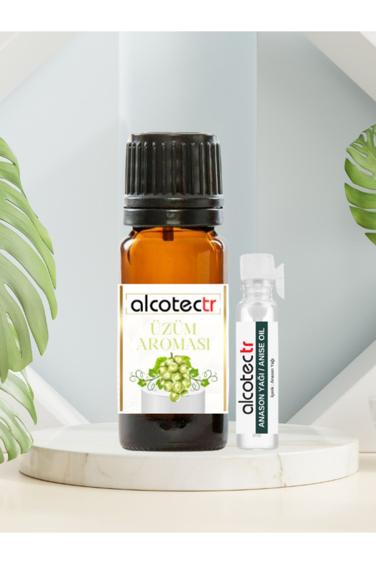 ALCOTECTR Üzüm Aroması 20ml & Anason 2.8ml