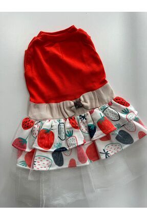 MİNİŞ PET BUTİK ÇİLEK DESENLİ TÜTÜLÜ KEDİ KÖPEK ELBİSESİ