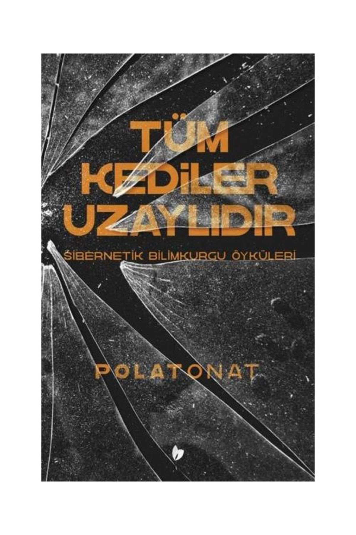 Buğday Kitap Tüm Kediler Uzaylıdır   Sibernetik Bilimkurgu Öyküleri