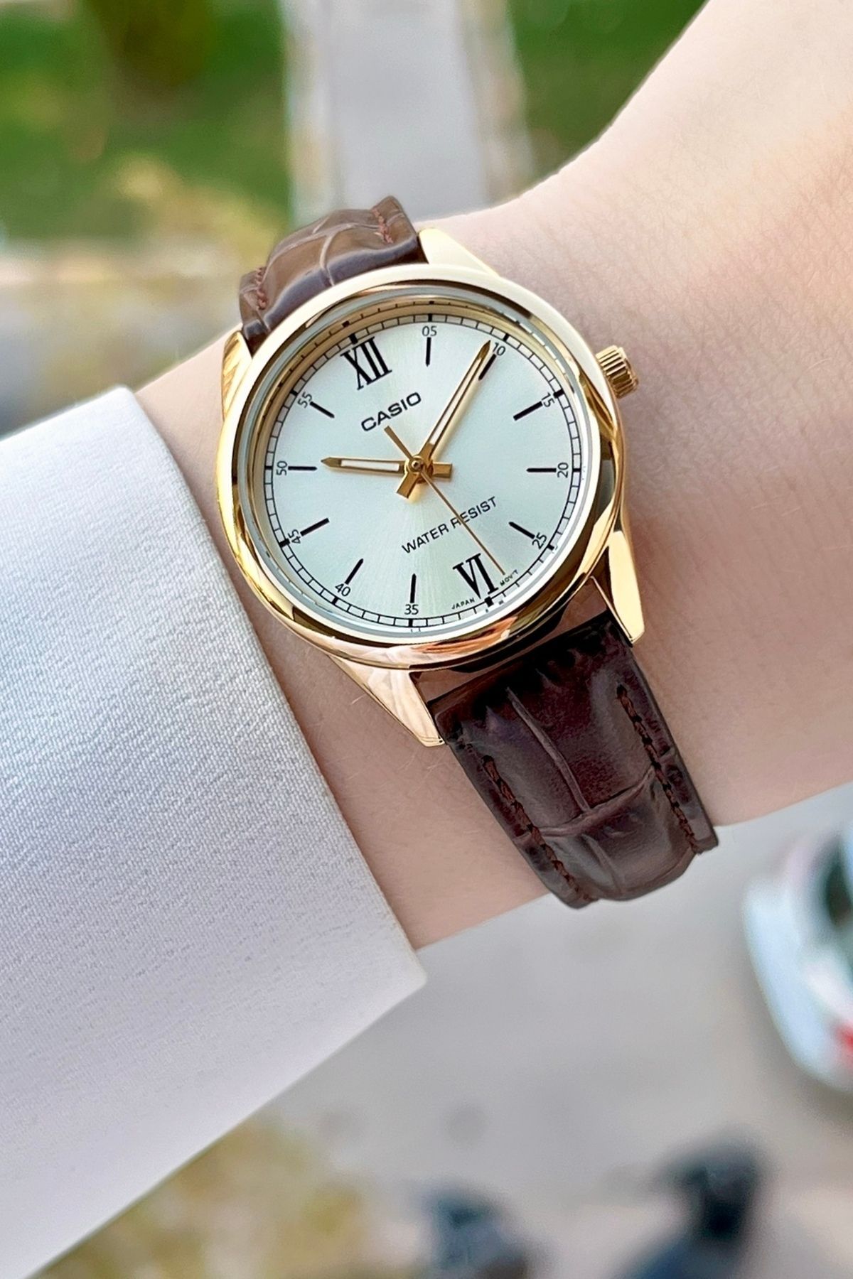 Casio-Brown Color Women's Wristwatch 6