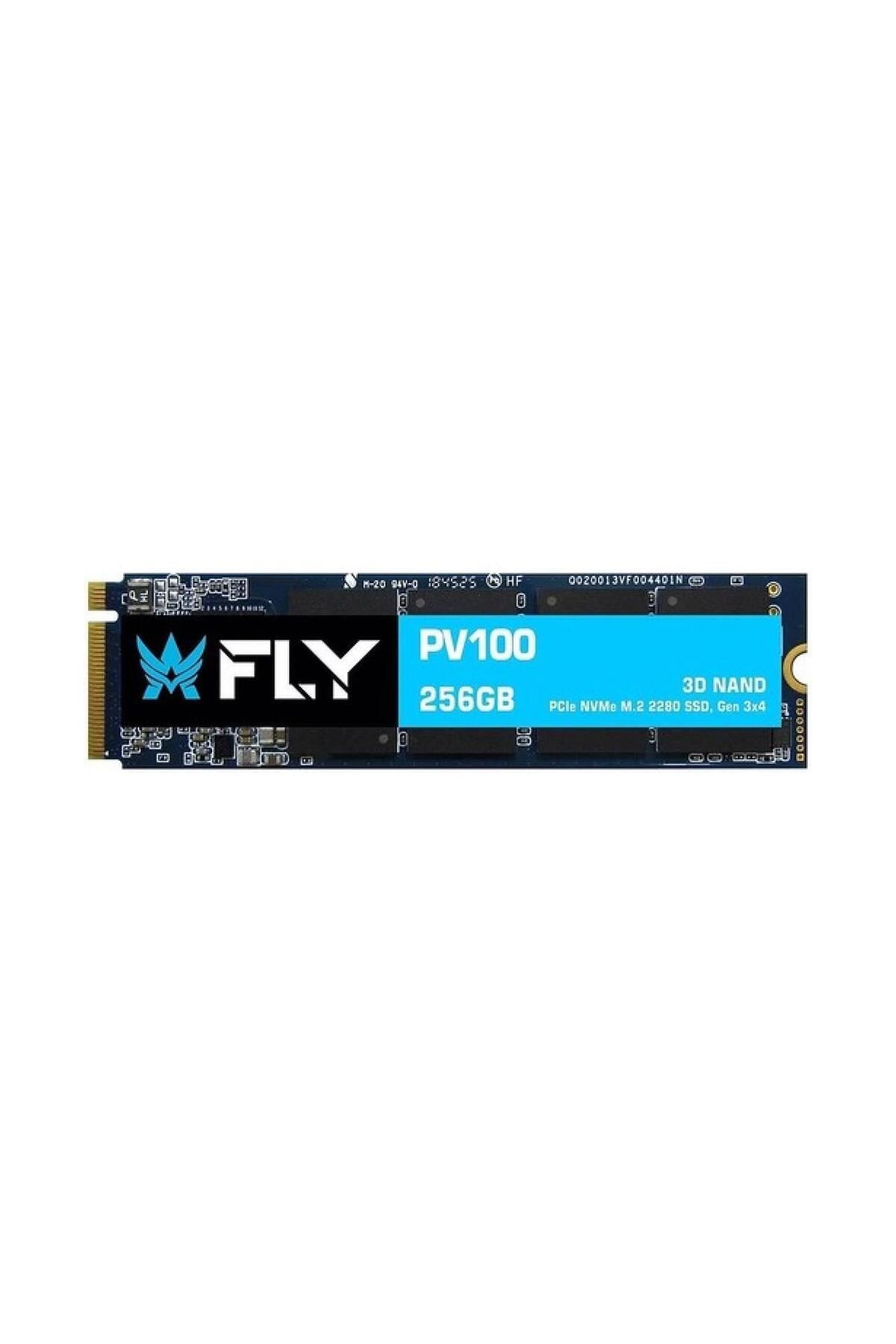 Fly PCIe M2 256 GB PV100 NVMe 3D 3300/3100 2Y