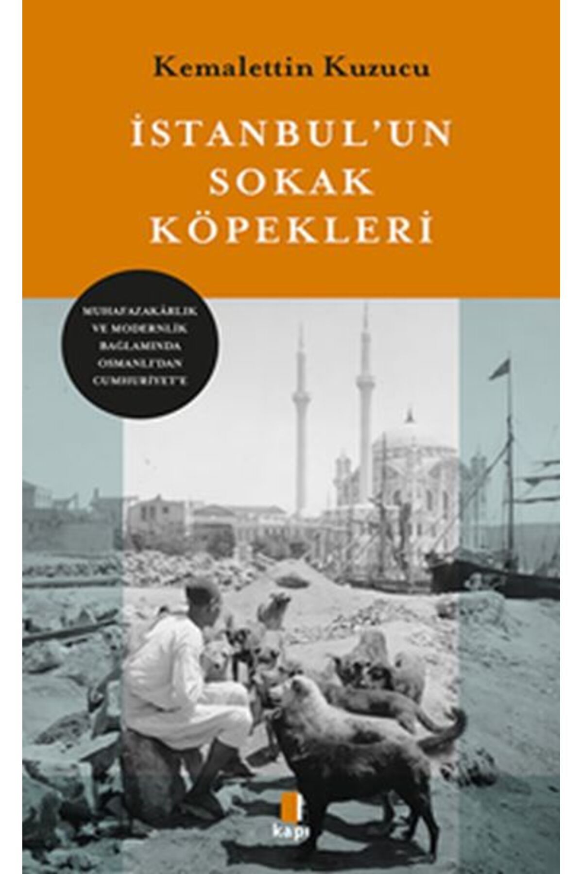Karma Kitaplar İstanbul’un Sokak Köpekleri kitap (Korunakli Posetle)