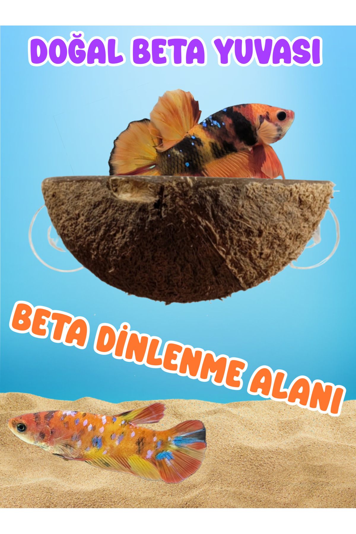 MDİZMİR Beta Dinlenme Alanı Ayalarnabilir Dinleme Alanı Beta , Kaplumbaga , Lepistes vb Türer için Kullanım