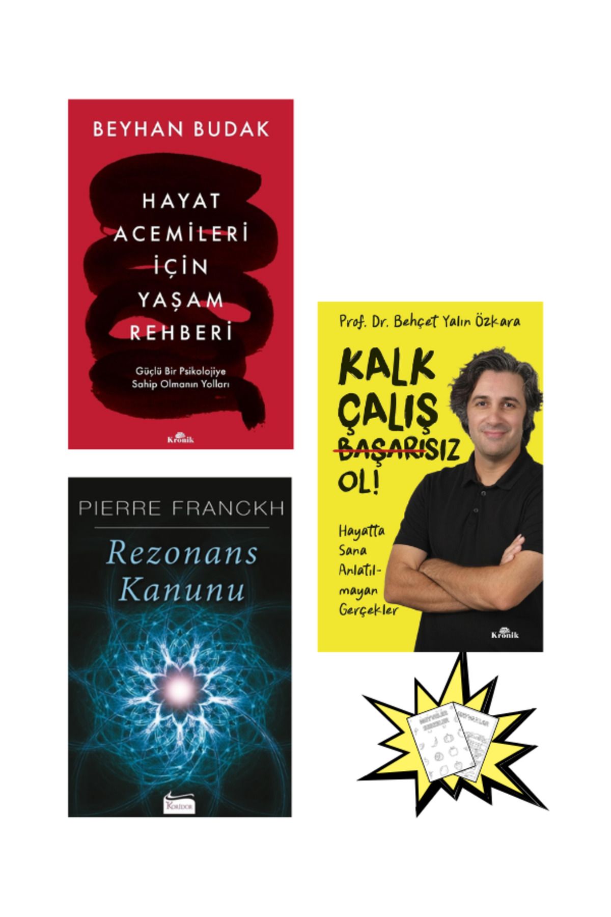 Kronik Kitap Boyamalı - Hayat Acemileri İçin Yaşam Rehberi -Kalk, Çalış, Başarısız Ol! - Rezonans Kanunu Kişisel