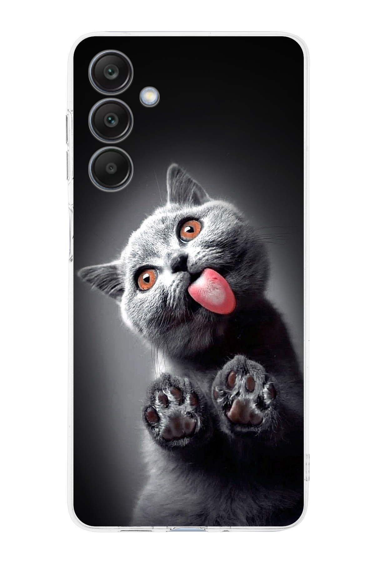 Galaxy A26 ile Uyumlu Kedi 2 Kamera Korumalı Şeffaf Kılıf