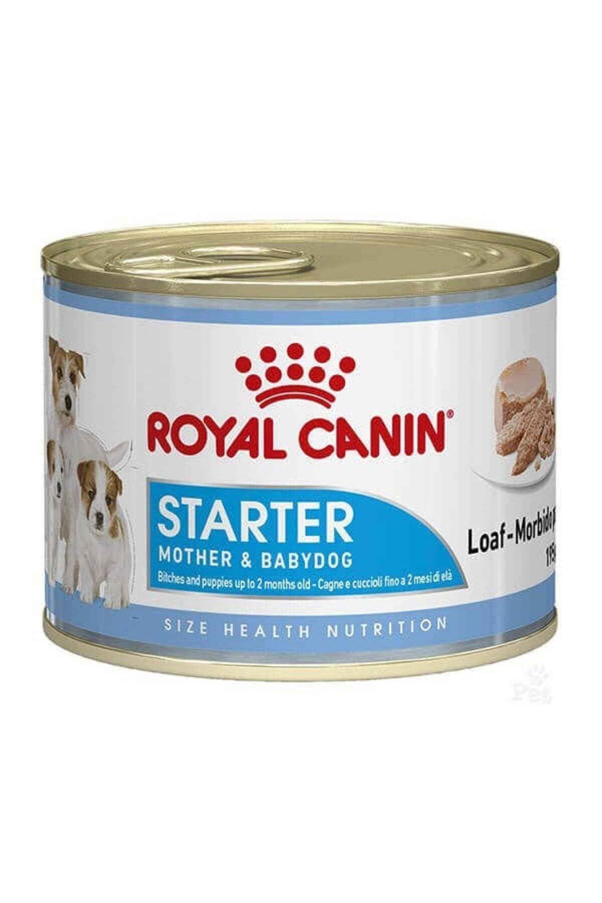 Royal Canin Starter Mousse Yavru Konserve Köpek Maması 195 Gr