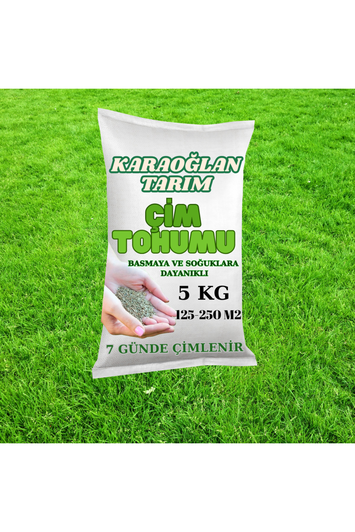 7-Piece Mix Germinating in 7 Days and Cold-Resistant Grass Seed 5 Kg