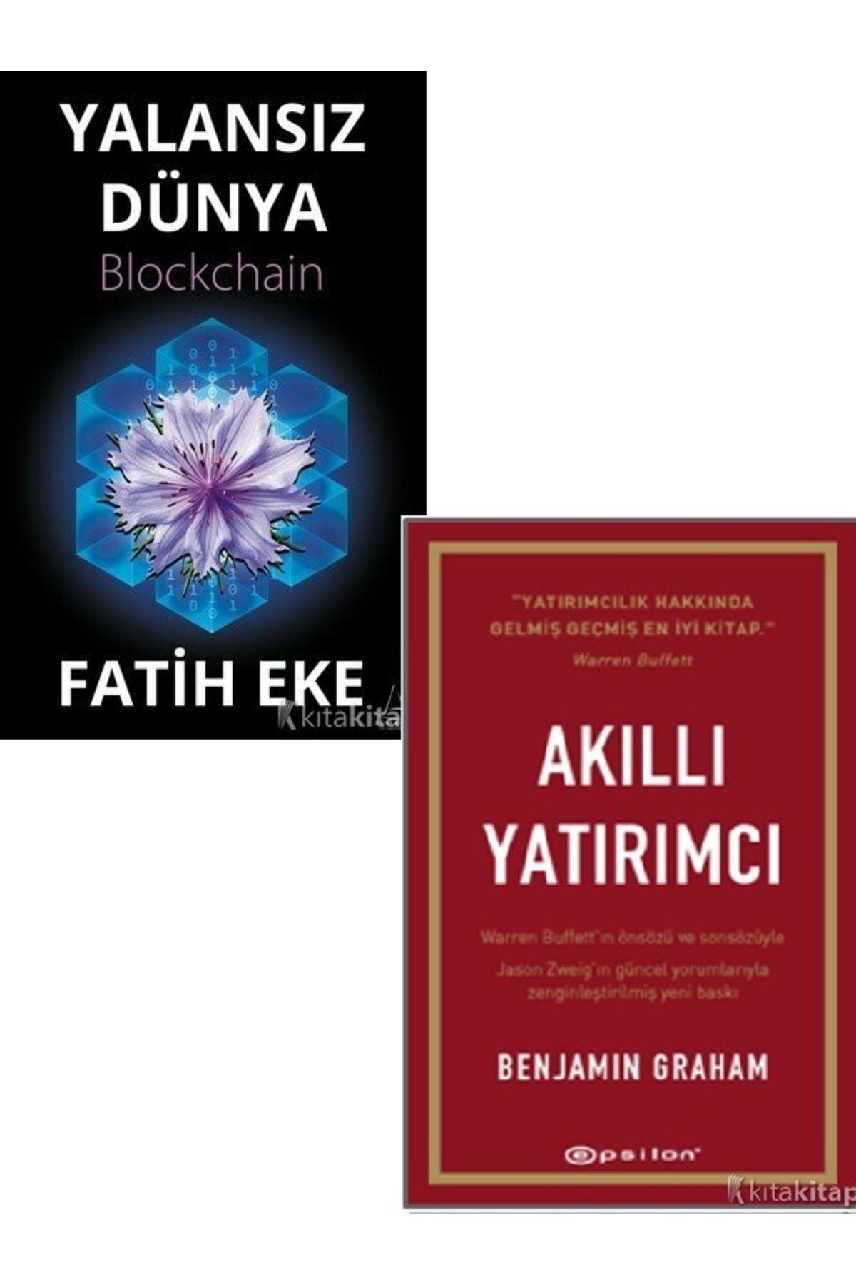 Destek Yayınları Yalansız Dünya Blockchain-Akıllı Yatırımcı-Fatih Eke 2 KİTAP ( ÜCRETSİZ KARGO )