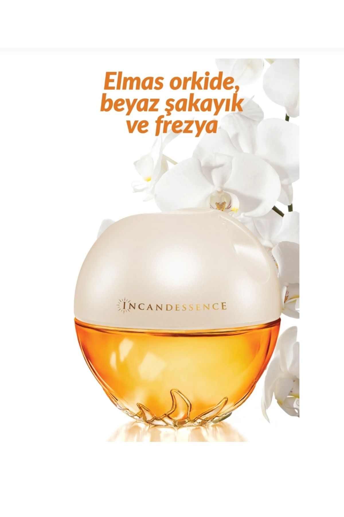 AVON Incandessence