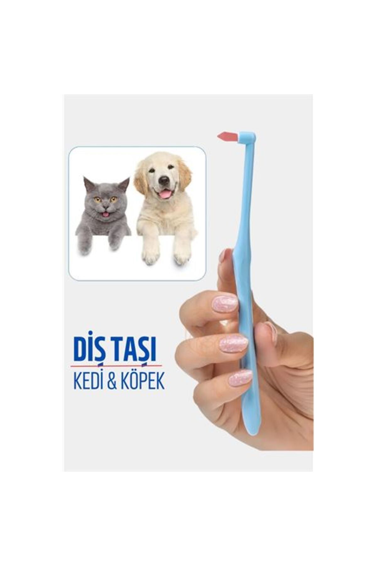 Findit Köpek Ve Kedi Diş Taşı Temizleyici