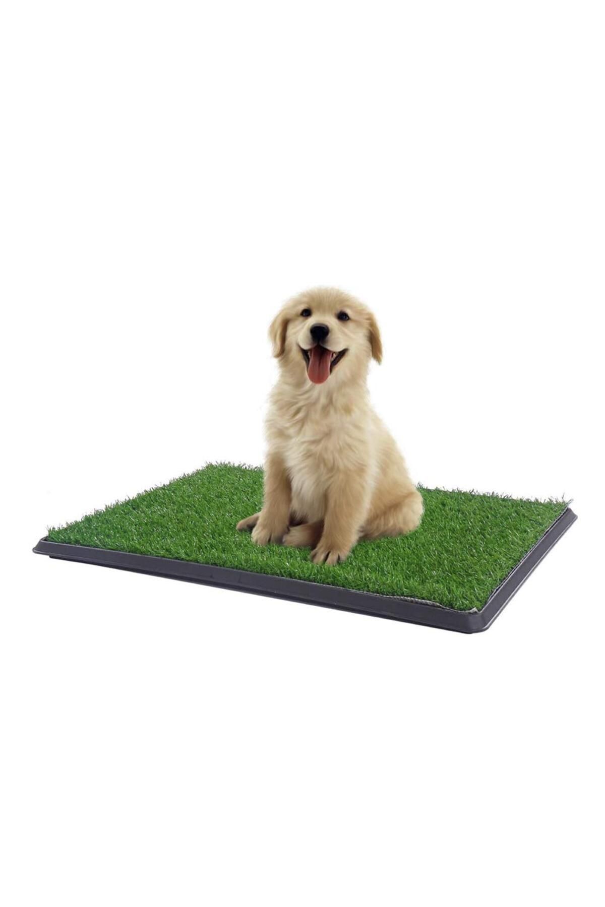 HerEveOyuncak Yavru Köpek Tuvalet Eğitim Parkı 3 Katmanlıı - 45Cm x 32 Cm (VbE)