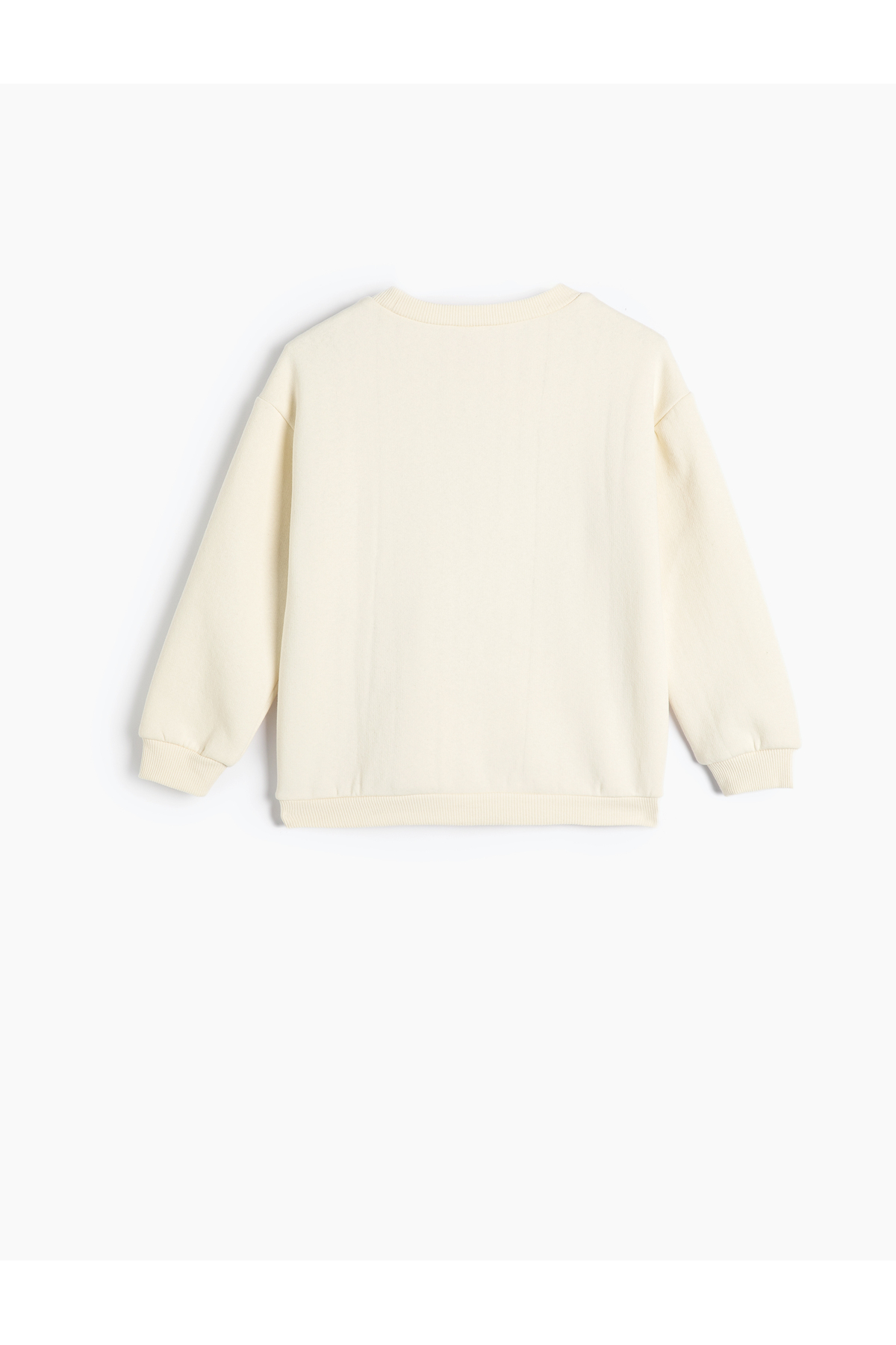 Koton Sweatshirt Uzun Kollu Doğa Temalı Baskı Detaylı Şardonlu Bisiklet Yaka fotoğrafı 3 (önizleme)