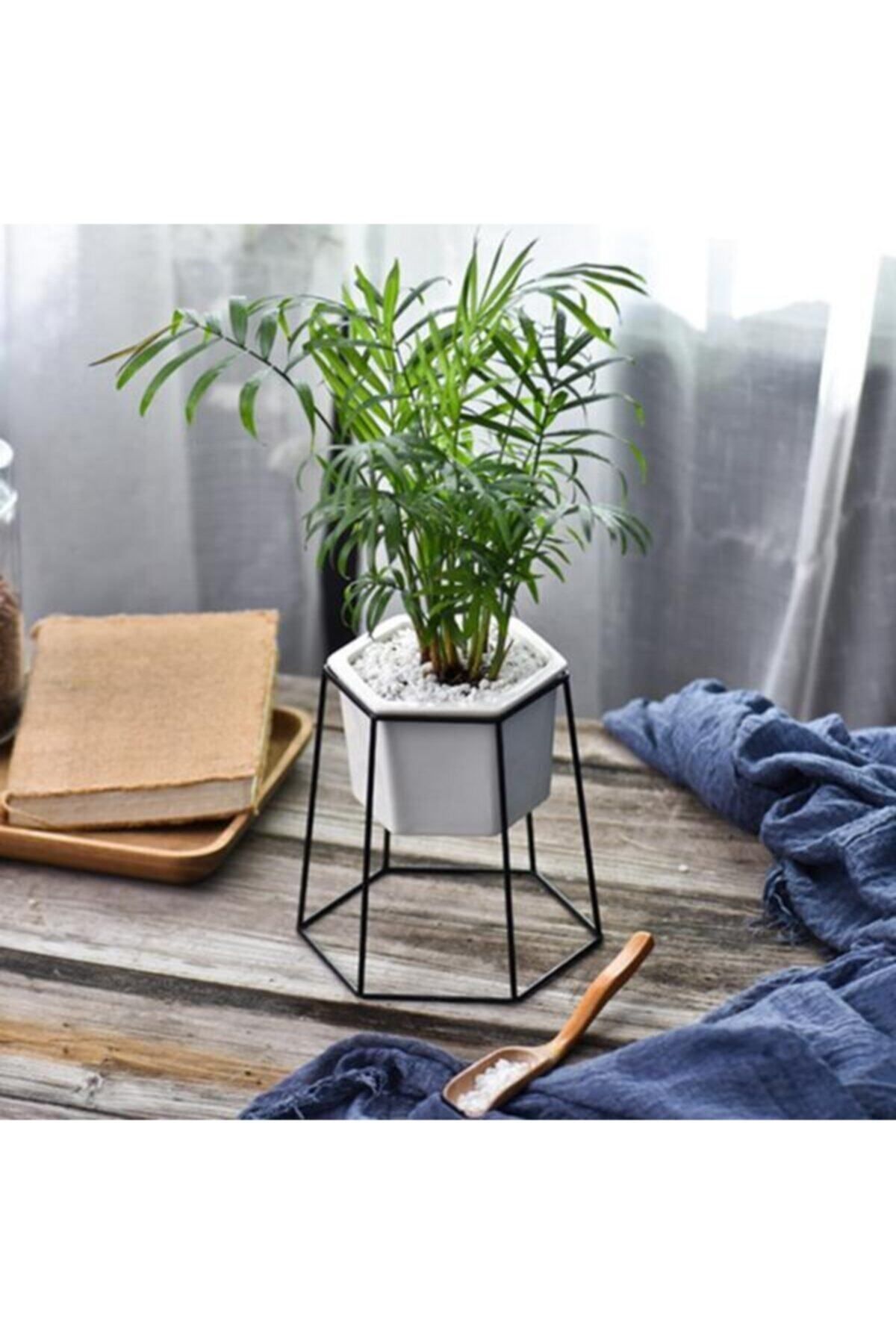 Gardenbox Çok Avantajlı Chamaedorea Elegans - Dağ Palmiyesi - Ev Ve Ofis Bitkisi (40-50CM)