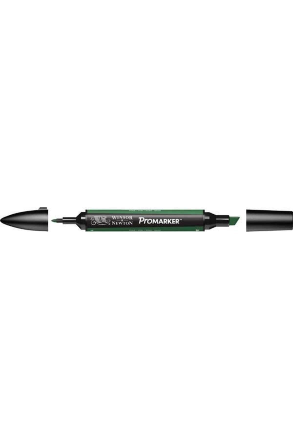 Winsor Newton-Promarker Graphic Drawing Pen - Double Tip, Alcohol Based, Pine 244 (G635) 2