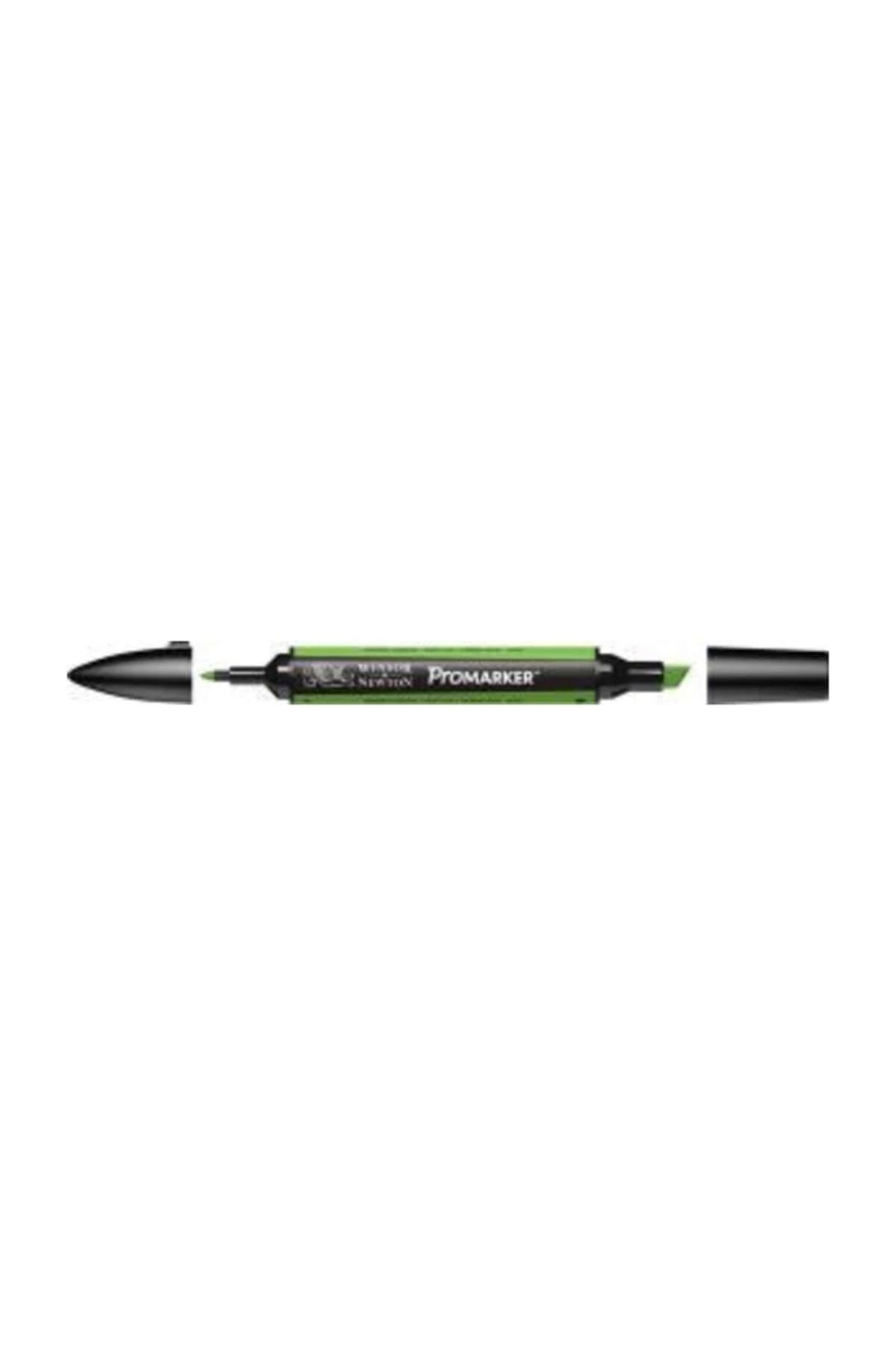 Winsor Newton-Promarker Double Ended Alcohol Based Graphic Drawing Pen Bright Green 069 (G267) 1
