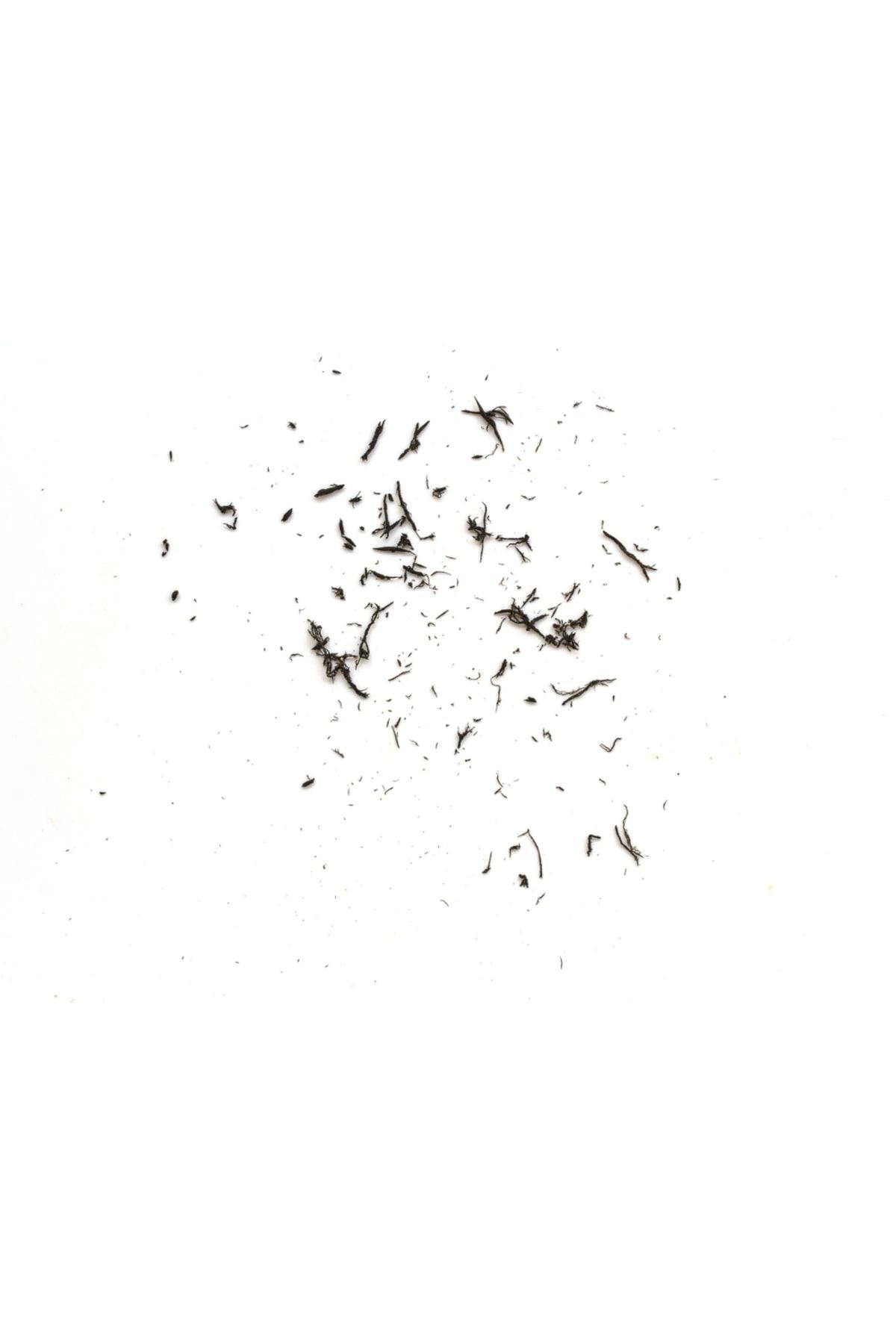 Tombow-Mono Zero Kalem Silgi Yassı Uç 2.5x5mm Çizgili 3