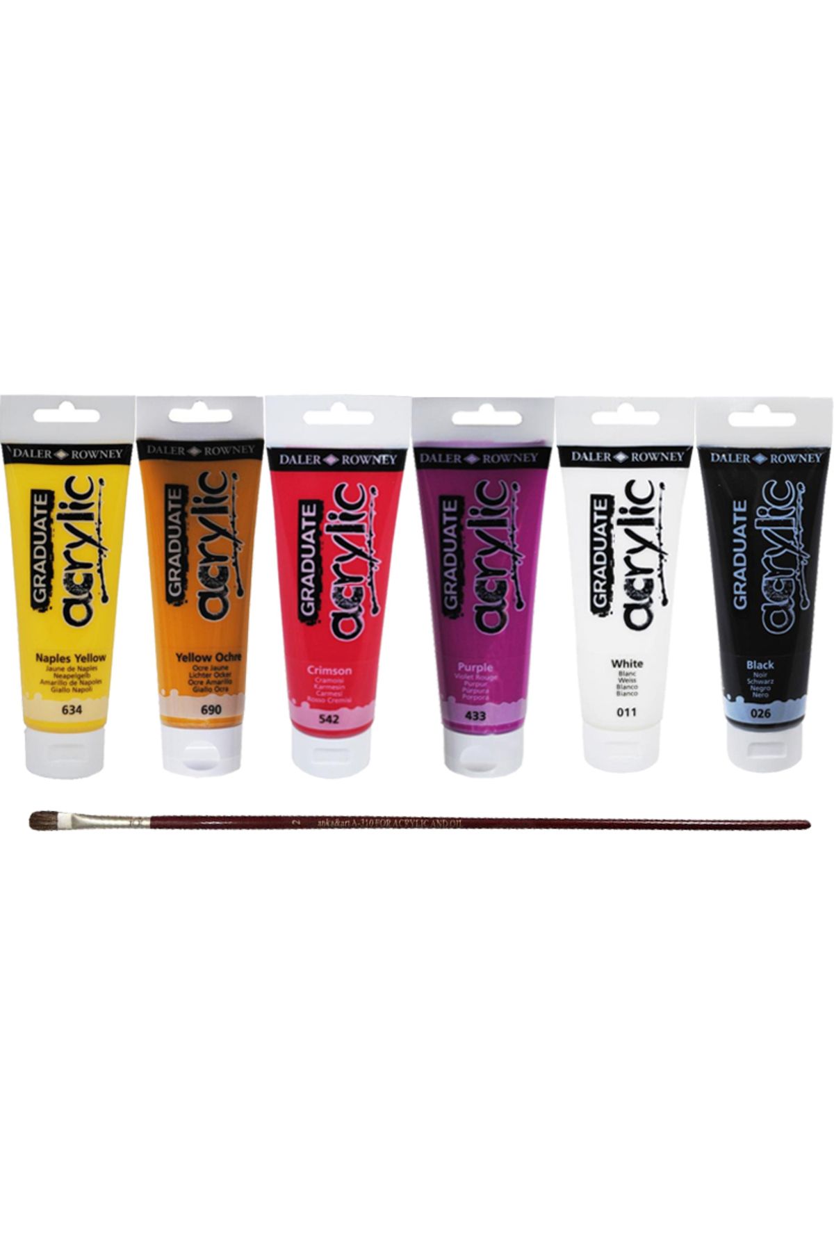 Anka Art Daler Rowney Graduate Akrilik Boya 120ml 6lı Set 1 + Anka Art Fırça Hediyeli