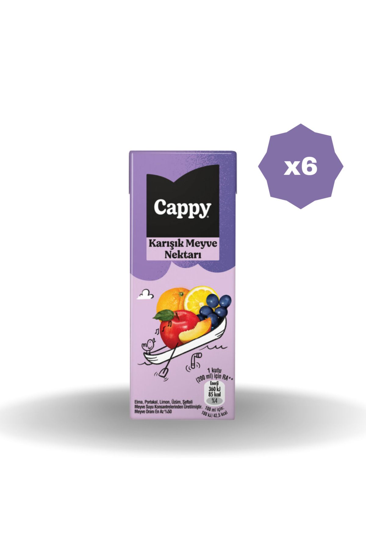 Cappy KARIŞIK MEYVE NEKTARI 200 ML - (6 ADET)