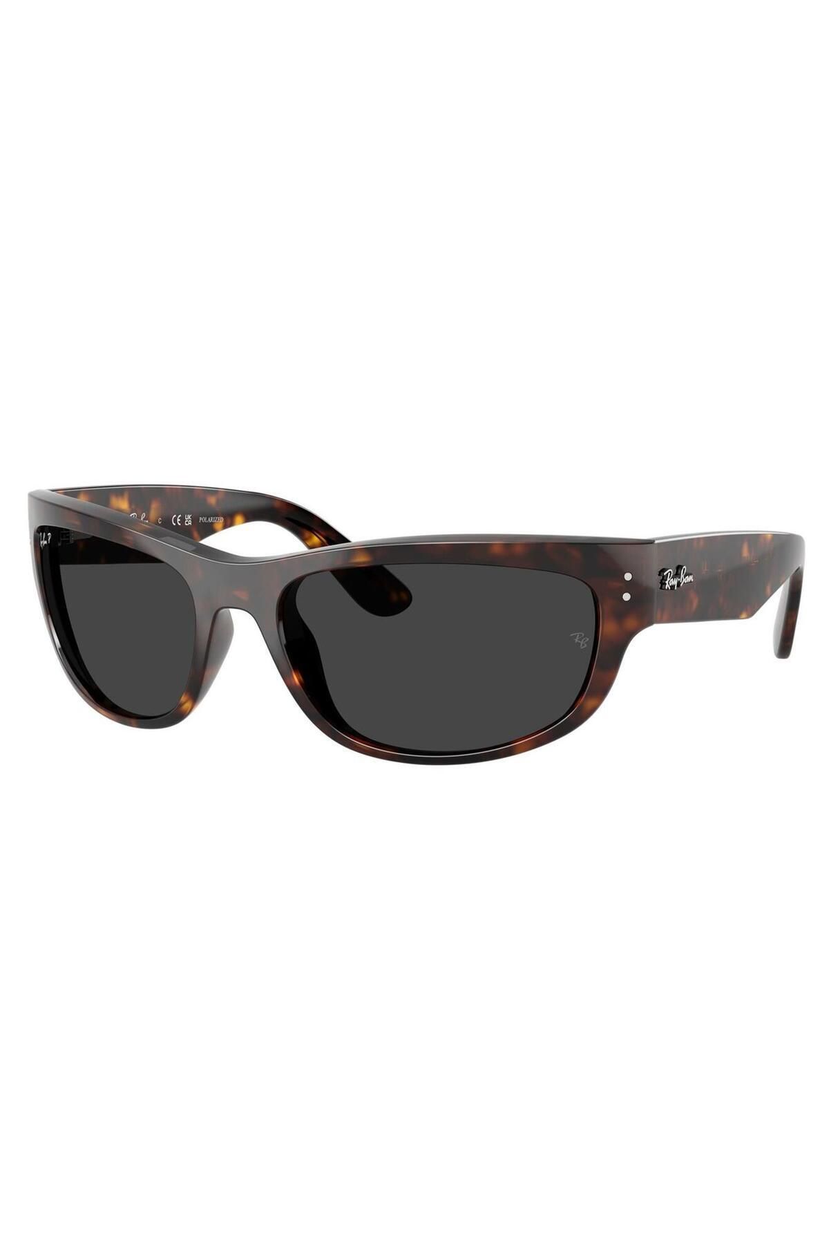 عینک آفتابی ری بن Ray-Ban-RB2289-902-48-63