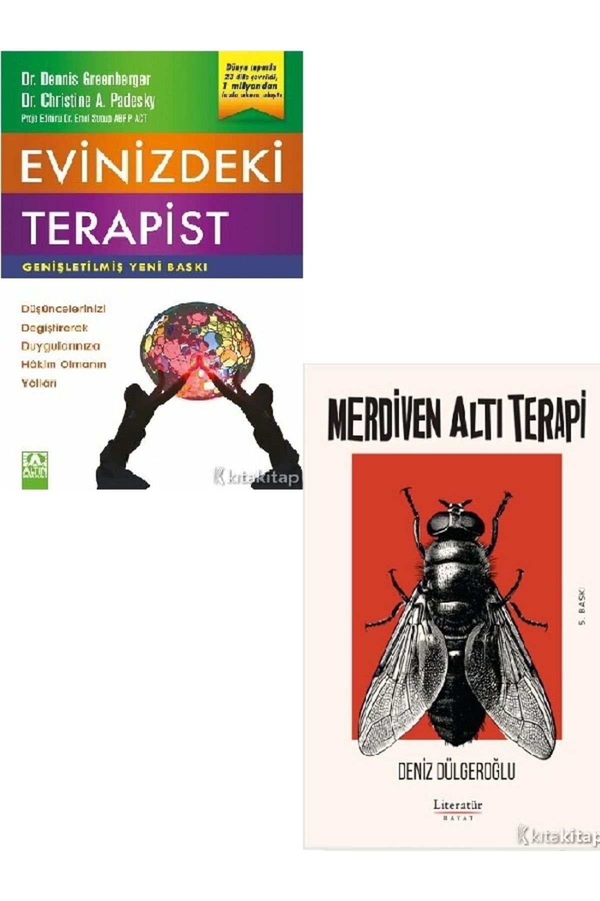 Destek Yayınları Evinizdeki Terapist-Merdiven Altı Terapi-Deniz Dülgeroğlu-Dennis Greenberge 2 KİTAP (ÜCRETSİZ KARGO)