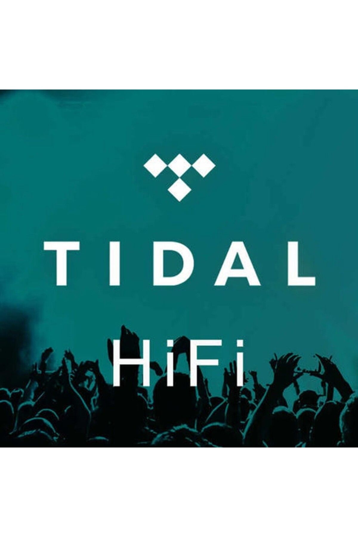 Hi-Fi Tidal - 12 Aylık Hi-Fi Plus Abonelik Hesabı