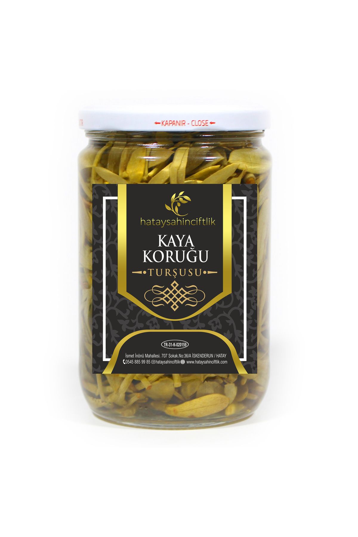 HATAY ŞAHİN ÇİFTLİK Kaya Koruğu Turşusu 780 Gr