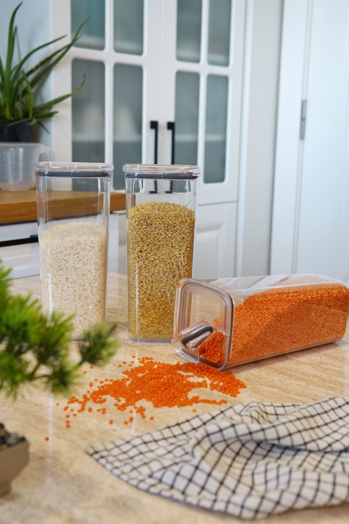 EVLE-Practical Lid Storage Container 3 X 1.2 L 4