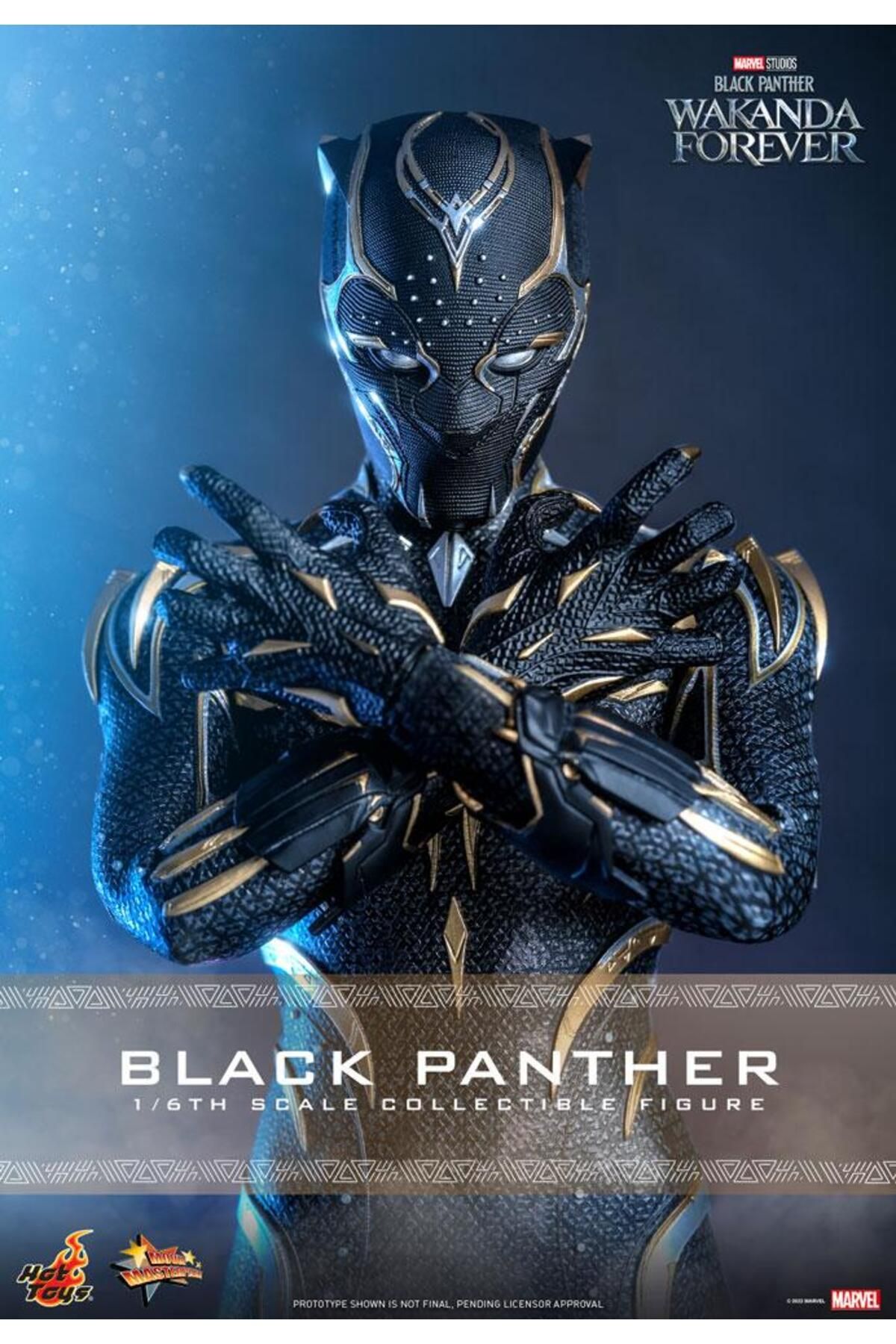 Hot Toys Black Panther (Wakanda Forever) Sixth Scale Figure