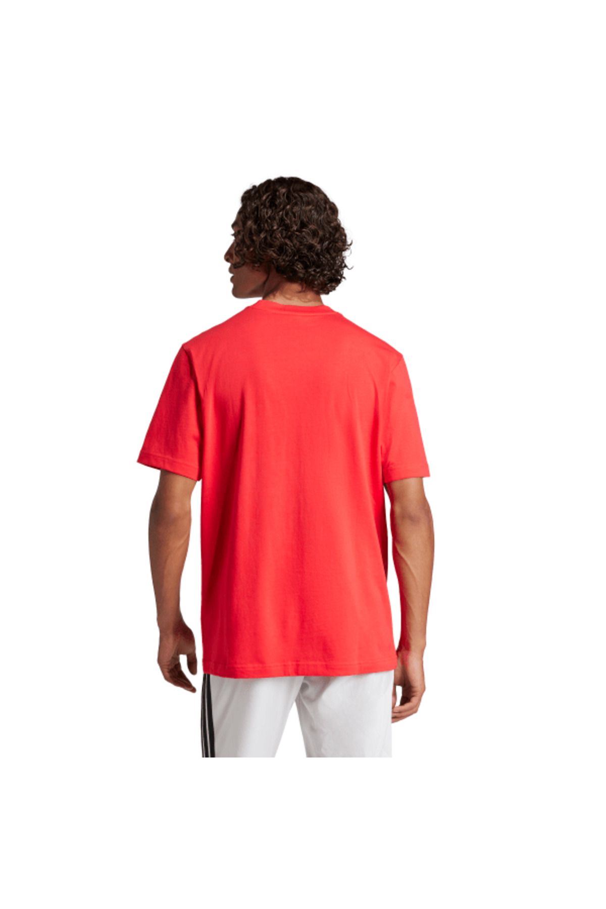 adidas-Essentials Small Logo Single Jersey t Shirt 4