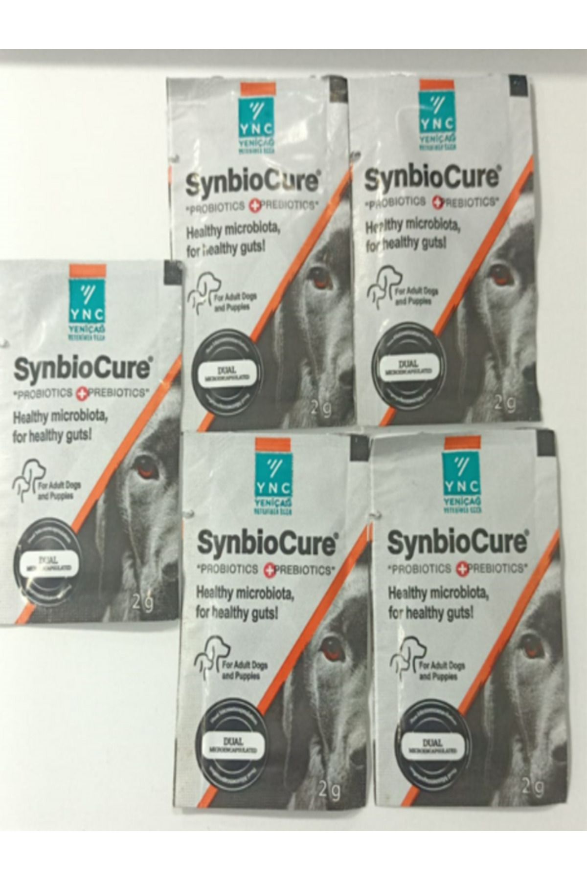 YNC SynbioCure Köpek Prebiyotik+Probiyotik 5 Şase