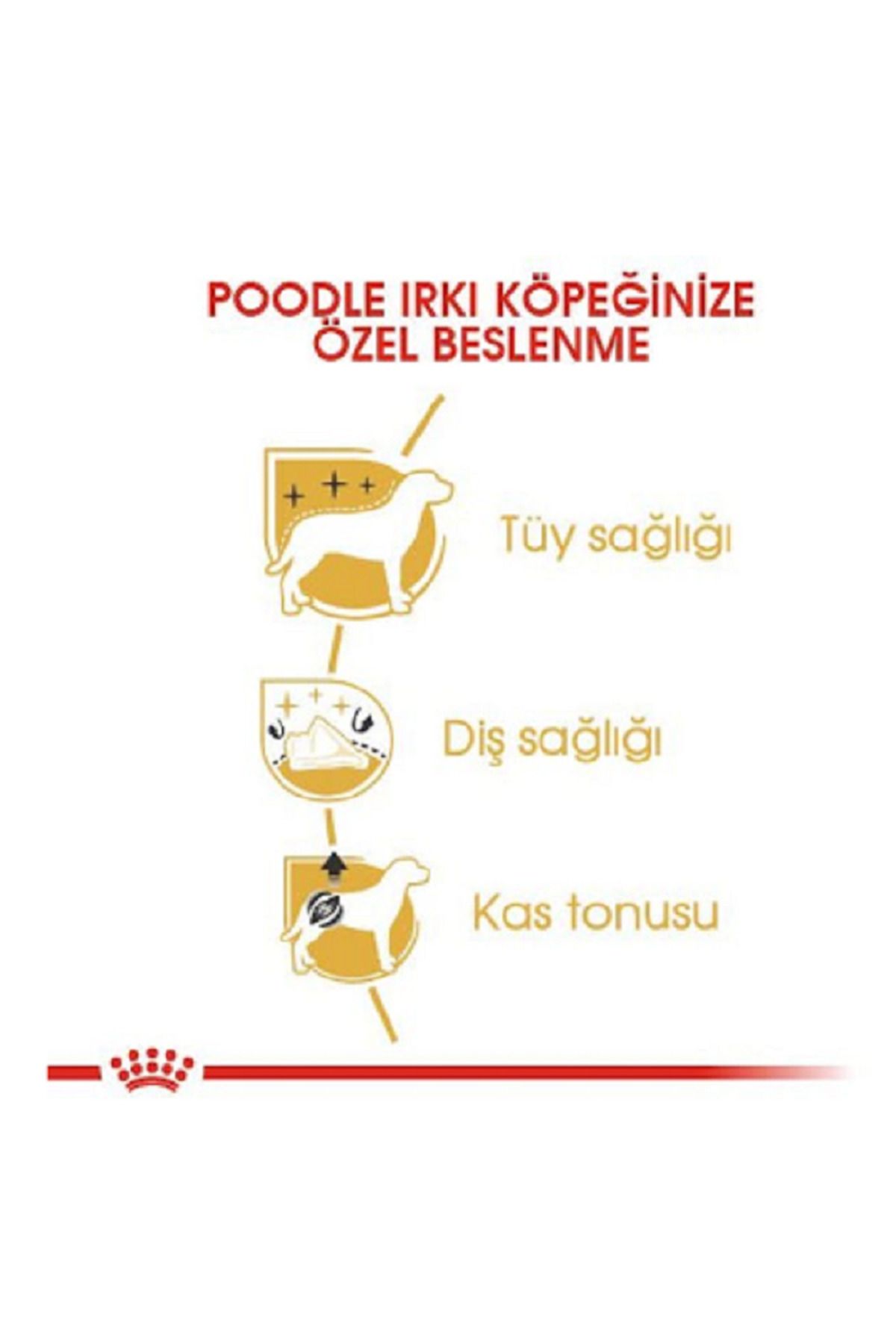 product side