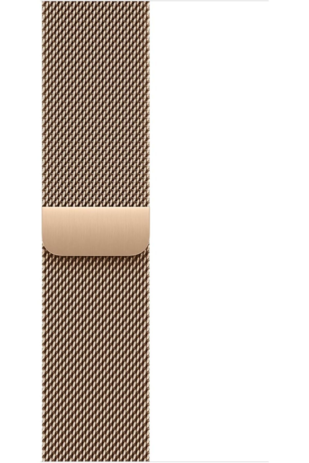 STOREMAX nffashopm Watch Band - Loop - 42 mm - Altın Rengi - Standart storestarx 1051353