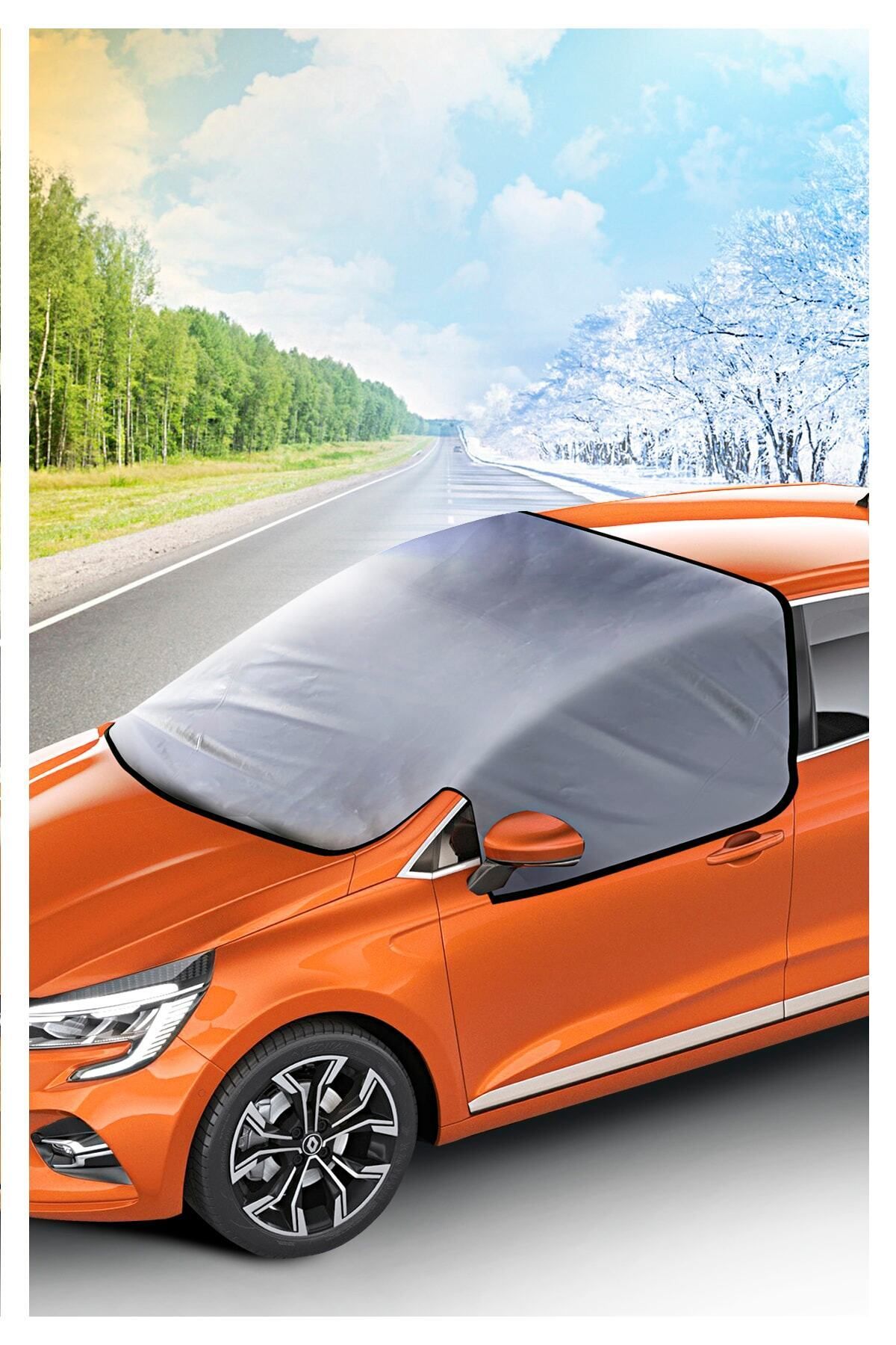 DUST-Peugeot 505 Sunscreen and Anti-Icing Tarpaulin 1