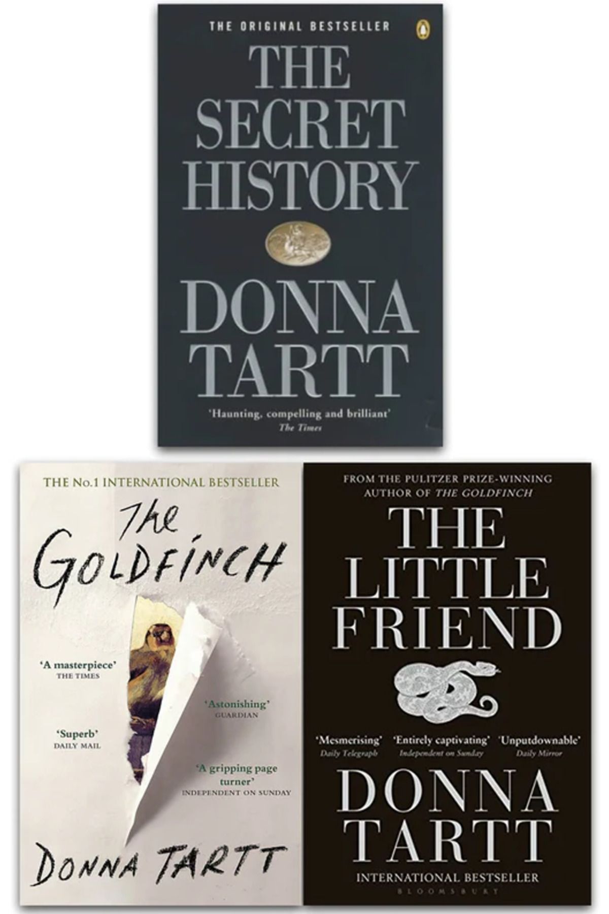 Bloomsbury Publishing Donna Tartt Collection 3 Books Set (The Goldfinch, The Secret History, The Little Friend)