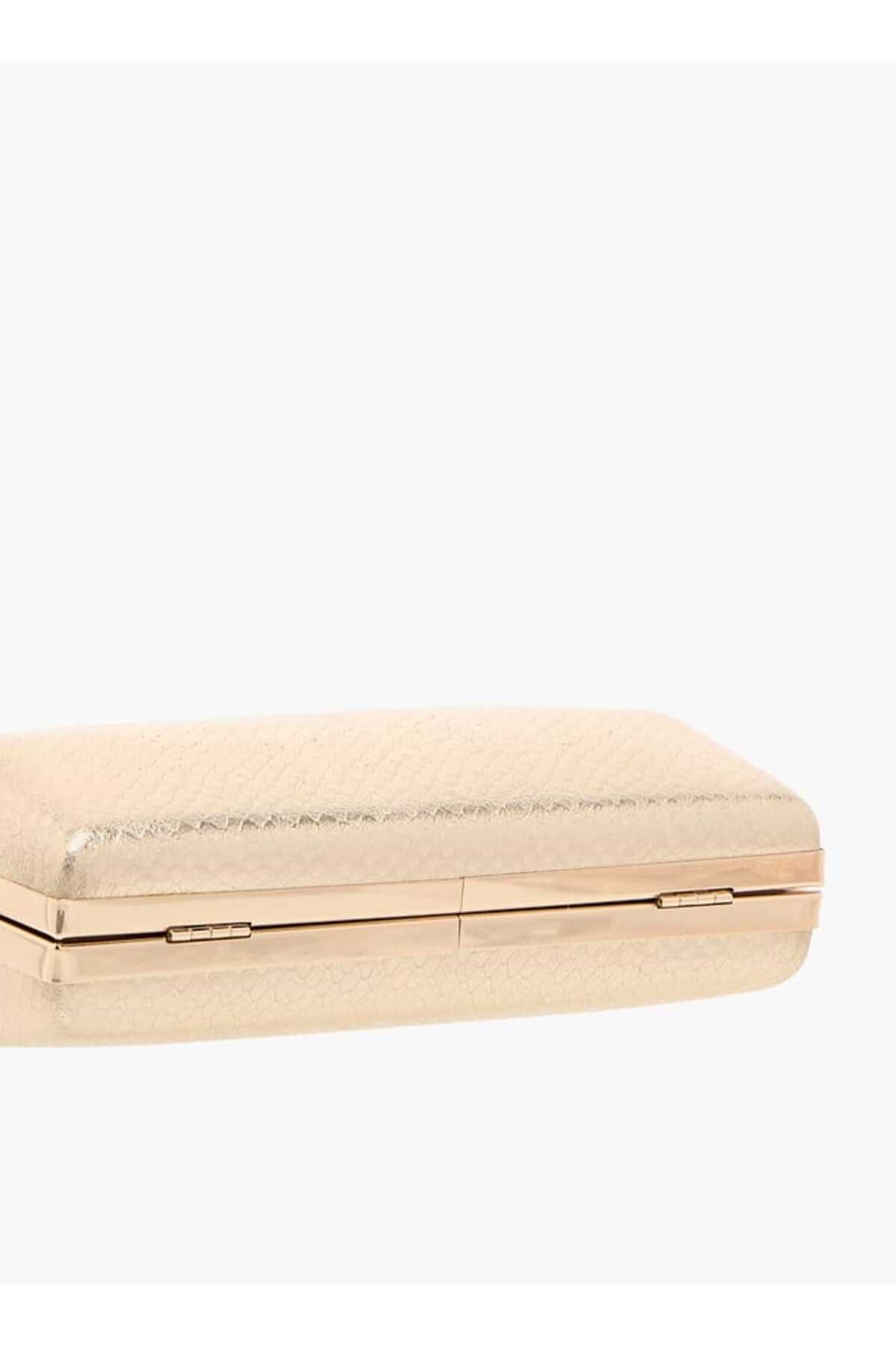 Flora Bella by Shoexpress-Flora Bella Textured Clutch with Flap Closure and Chain Strap 6