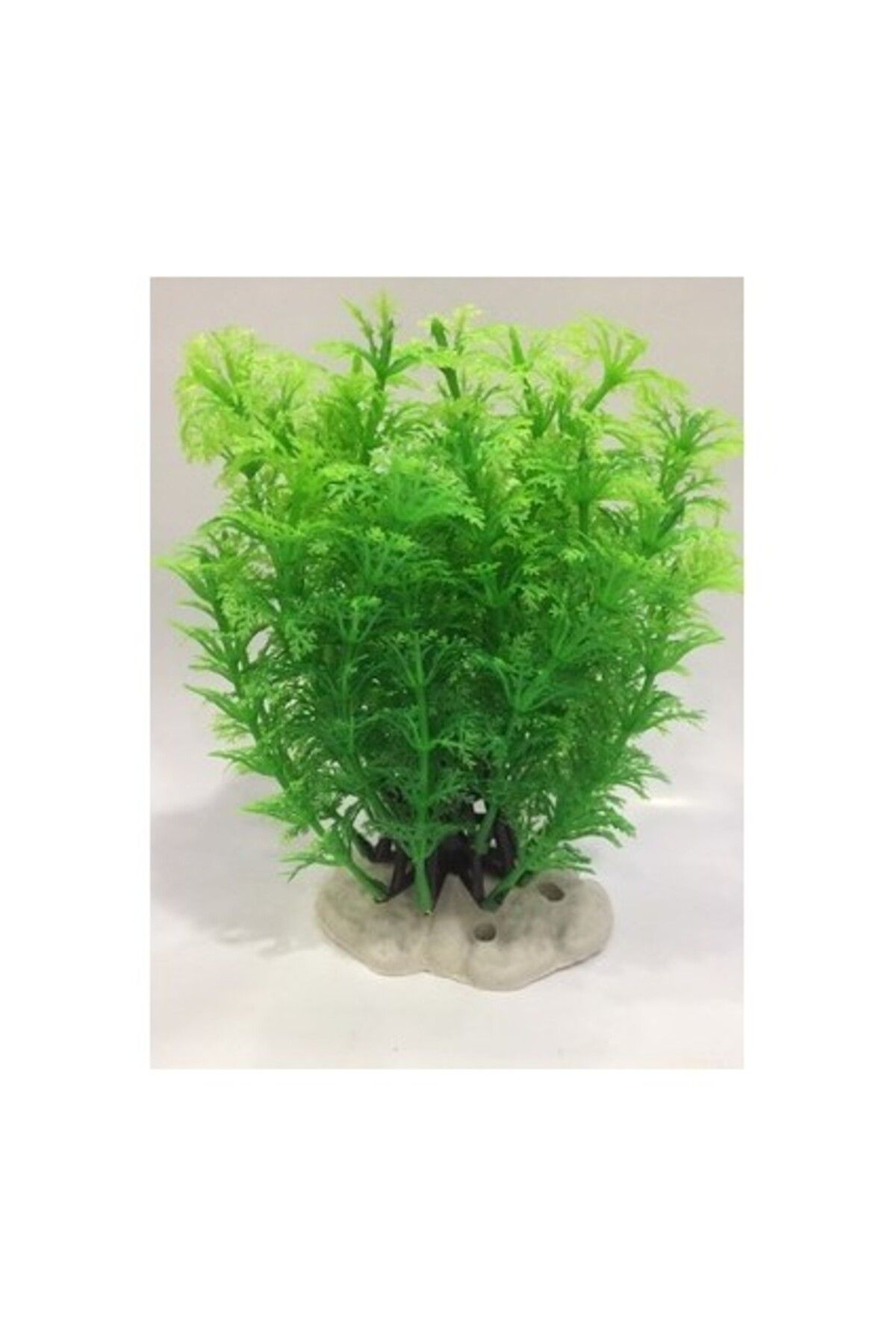 Orqinel Canlı Petshop Plastik Bitki 12 cm Aromatica