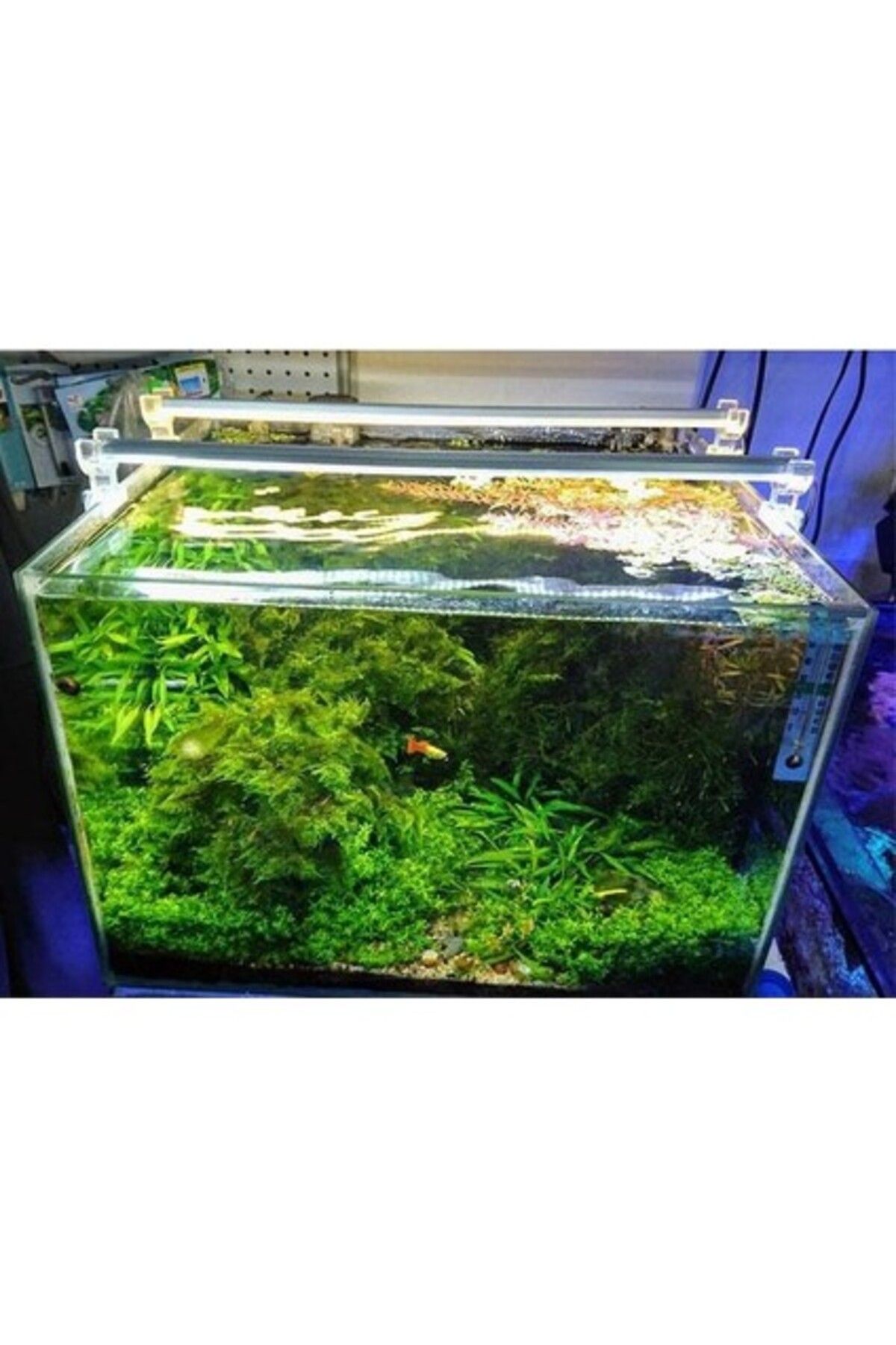 Aquael AquaLed Led Aydınlatma Armatür Beyaz 70Cm 6500K