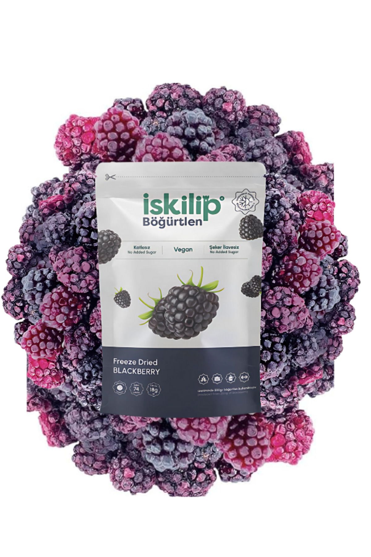 İSKİLİP Dondurularak Kurutulmuş Böğürtlen - Böğürtlen Kuru Meyve Cipsi - Frezee Dried Blackberry - 18 GR