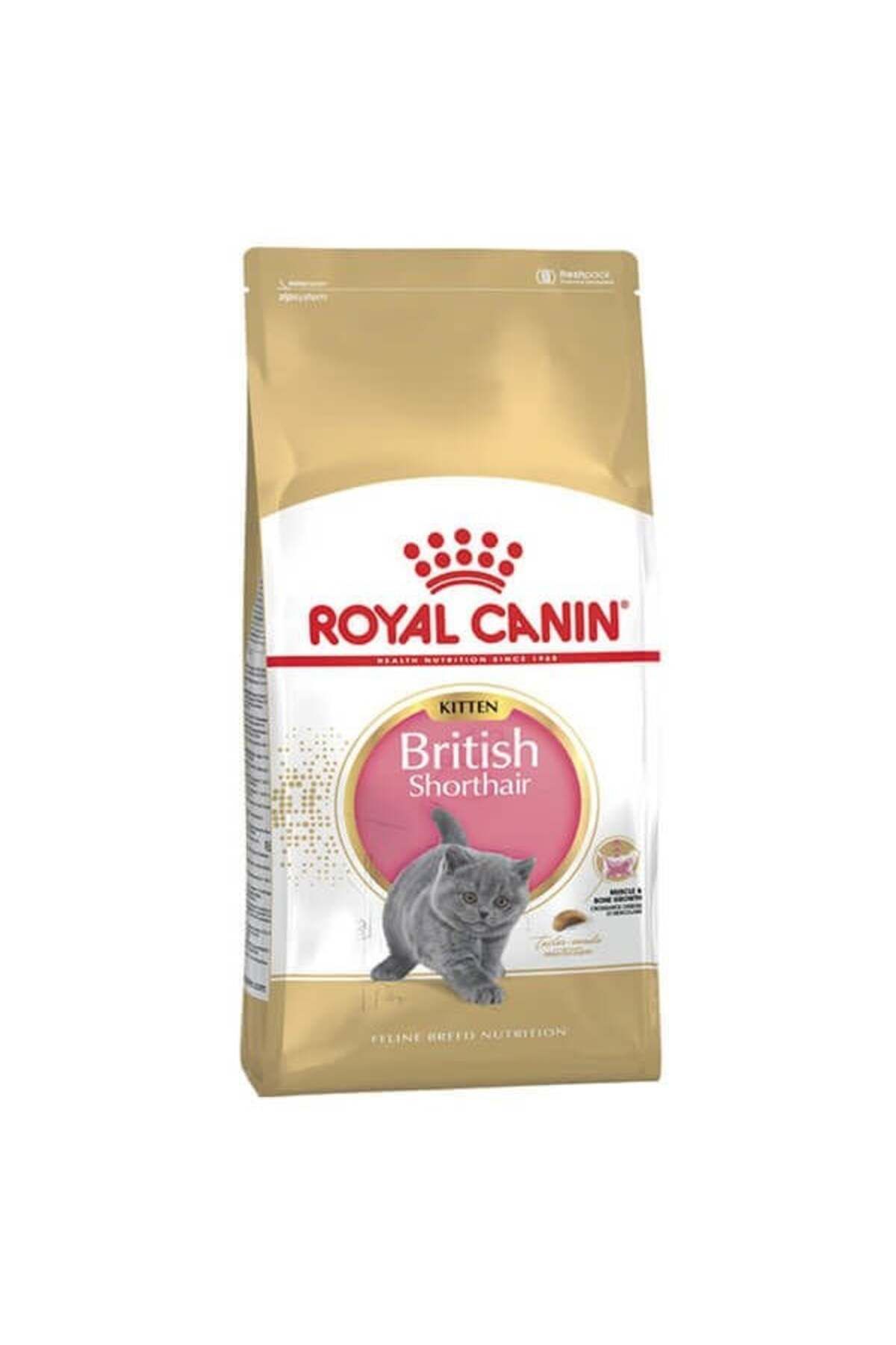 Royal Canin British Shorthair Kitten Yavru Kedi Maması 2 Kg