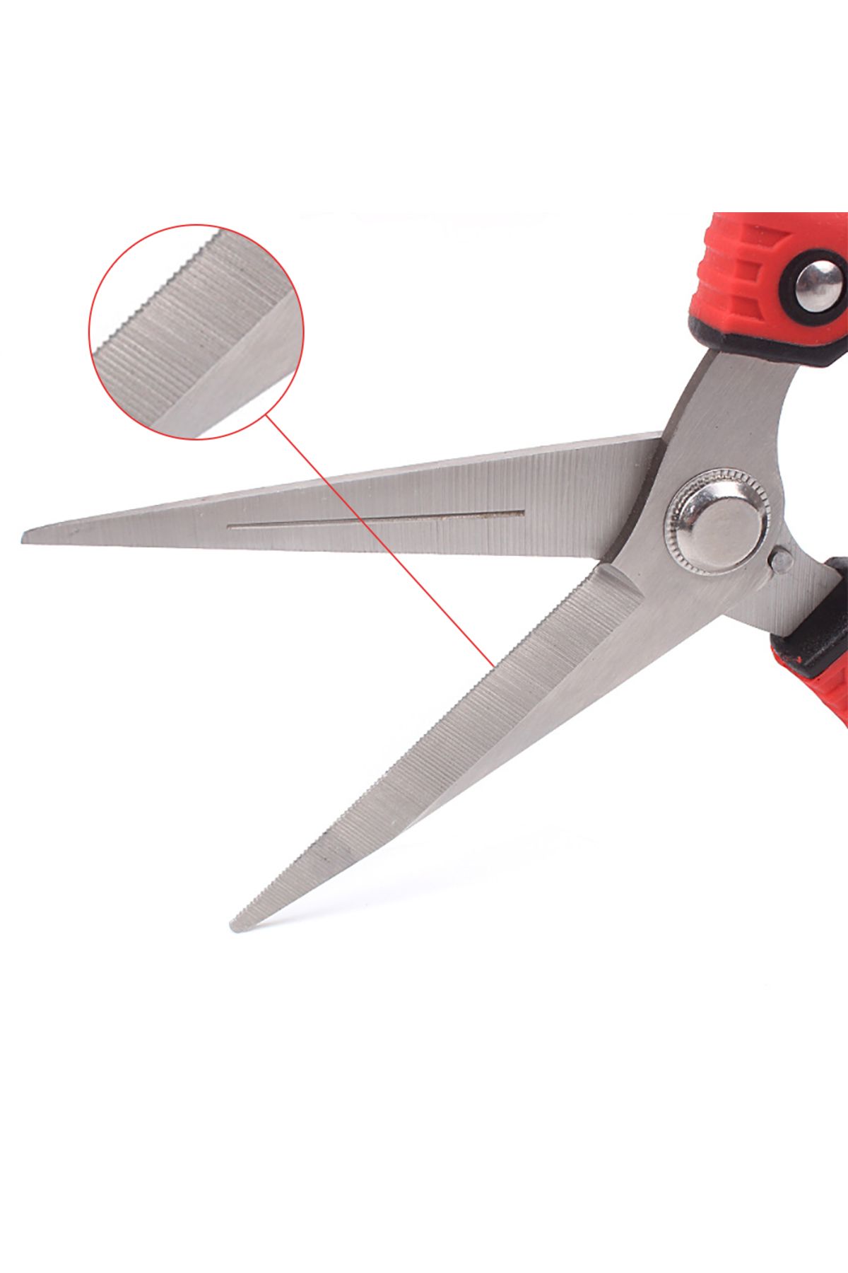 RDDSPON-Pruning Shear Branch Scissors Stainless Steel Non-Slip Handle Sharp Garden Fruit Tree Pru... 3