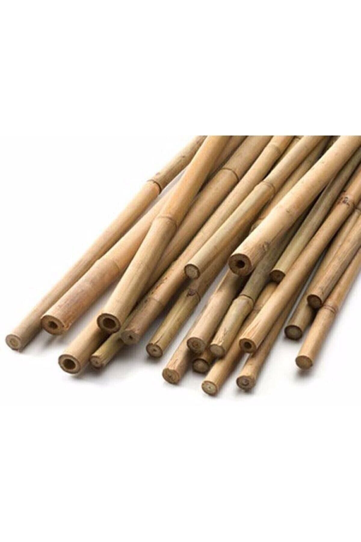 Gardenbox Çok Avantajlı Bambu Bitki Destek Çubuğu 60cm 10'lu Set