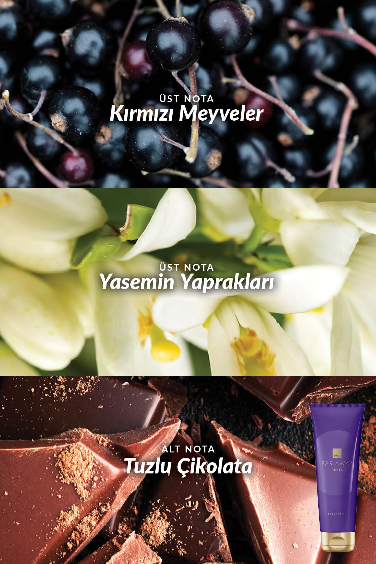 کرم بدن REBEL کلاسیک دور و فراتر از بسته لوسیون ماه Avon